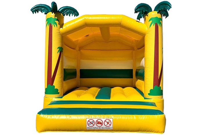 Palm tree bounce house FWC234