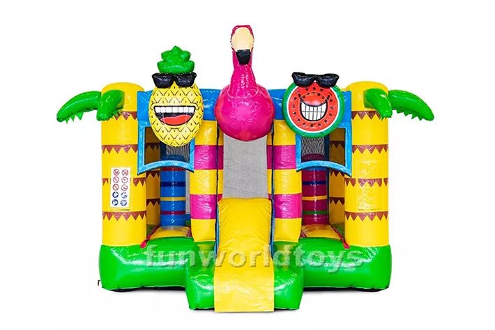 Air Bouncing House With Slide FWZ224