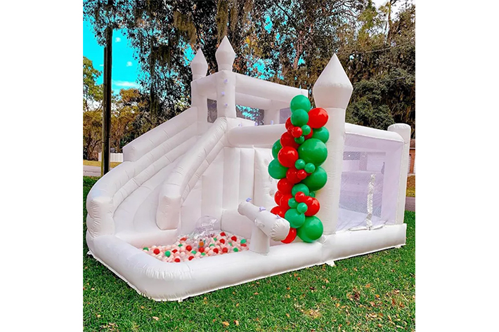 Commercial inflatable bouncy bounce FWW34